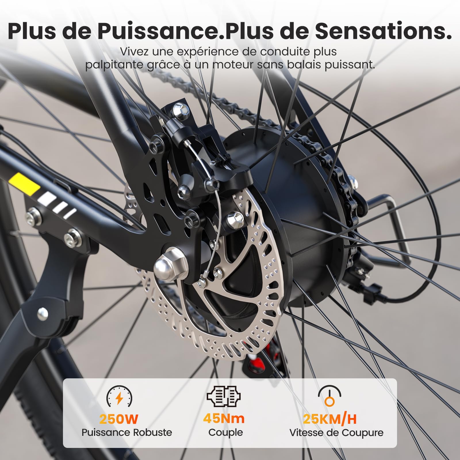 Touroll U1 Vélo Électrique 26" 29" VTT Électrique Adulte 250 W Batterie Amovible 13AH Autonomie 65 km E-Bike 21 Vitesses