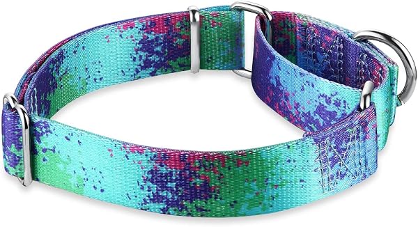 Dazzber Martingale Dog Collars Colourful Oil Painting Pattern Series - No Pull Pet Collar Silky Soft for Medium and Large Dogs (Medium, 2.5cm Wide, Ecological Oasis) in use