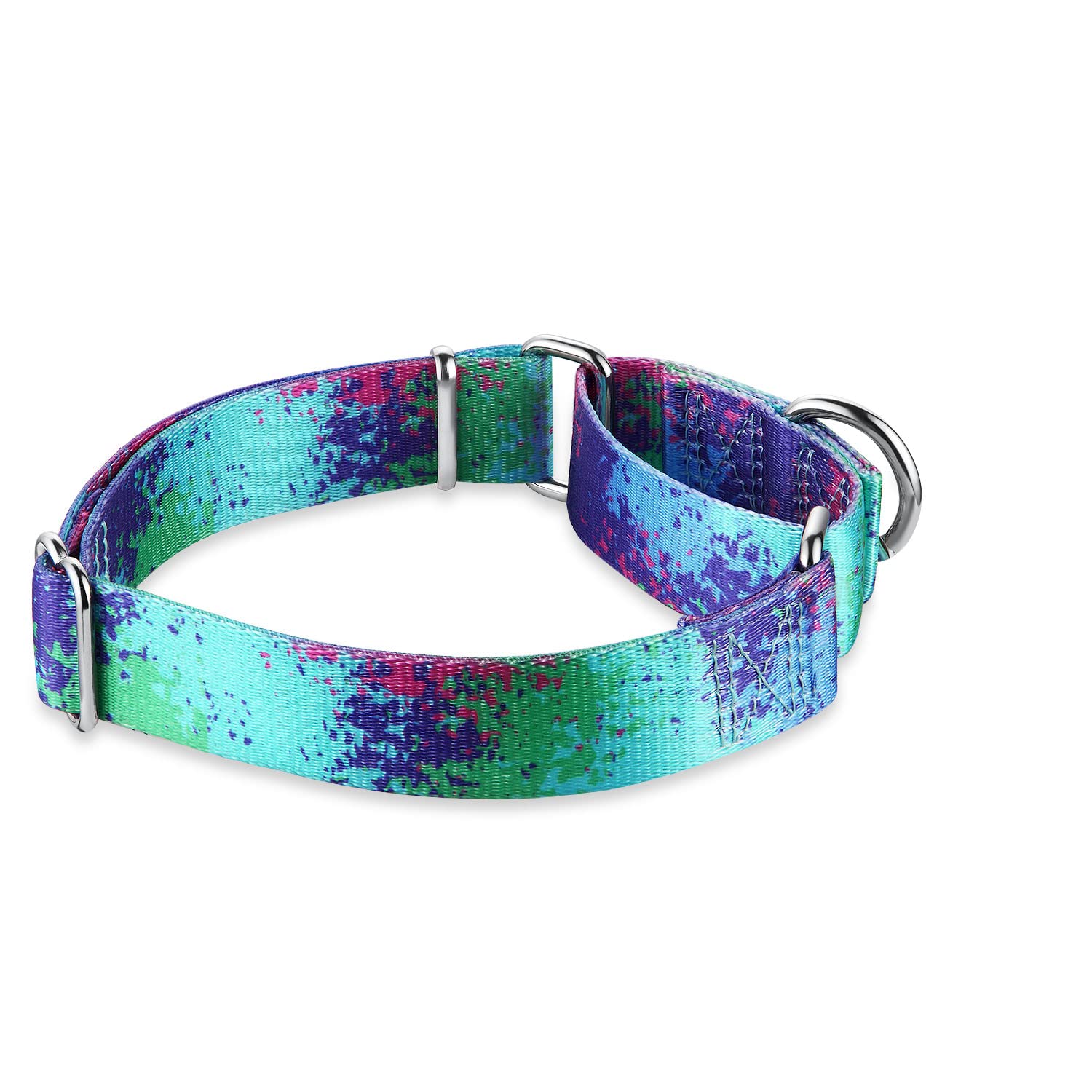 Dazzber Martingale Dog Collars Colourful Oil Painting Pattern Series - No Pull Pet Collar Silky Soft for Medium and Large Dogs (Medium, 2.5cm Wide, Ecological Oasis) in use