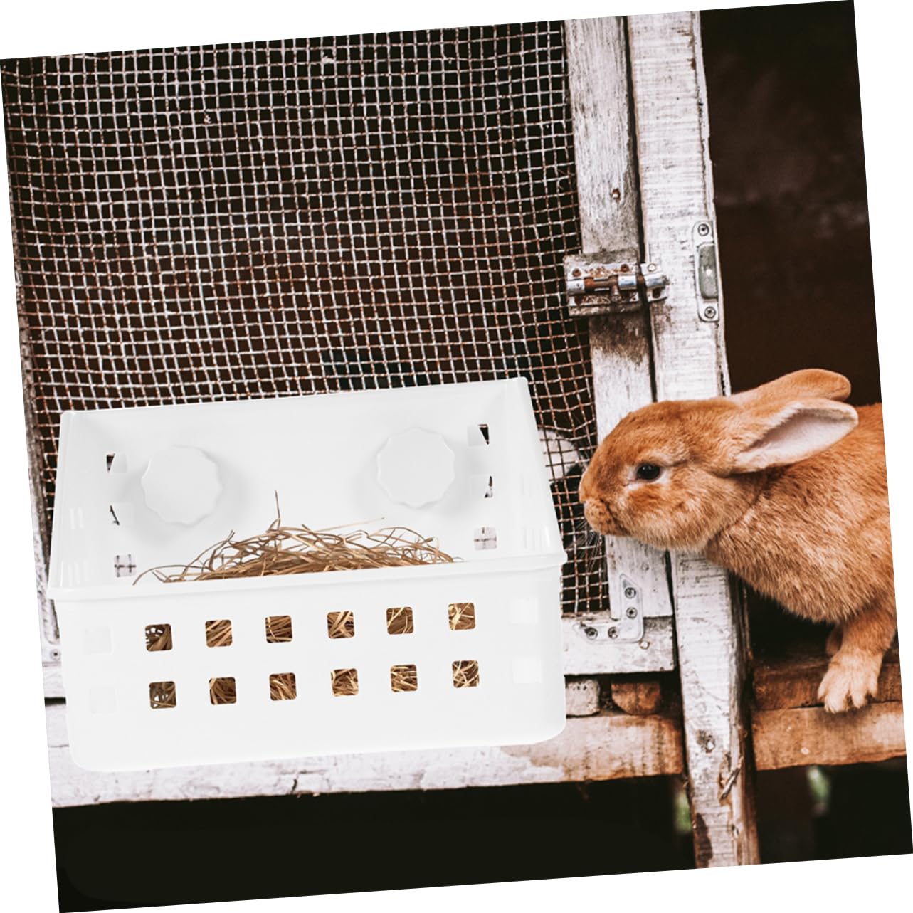 BESPORTBLE 4piezas Comedero De Heno para Conejos y Roedores Alimentador De Pasto Reutilizable Accesorio De Jaula Fácil De Instalar para Conejillos De Indias Chinchillas y Conejos