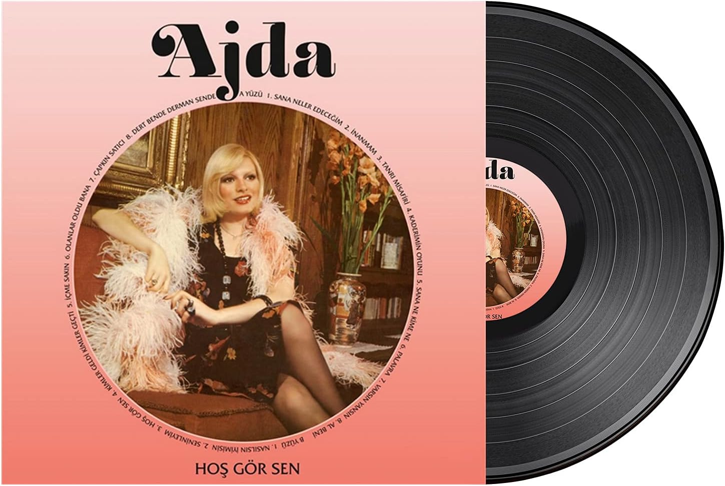 Ajda Pekkan-Hoşgörsen LP Plak