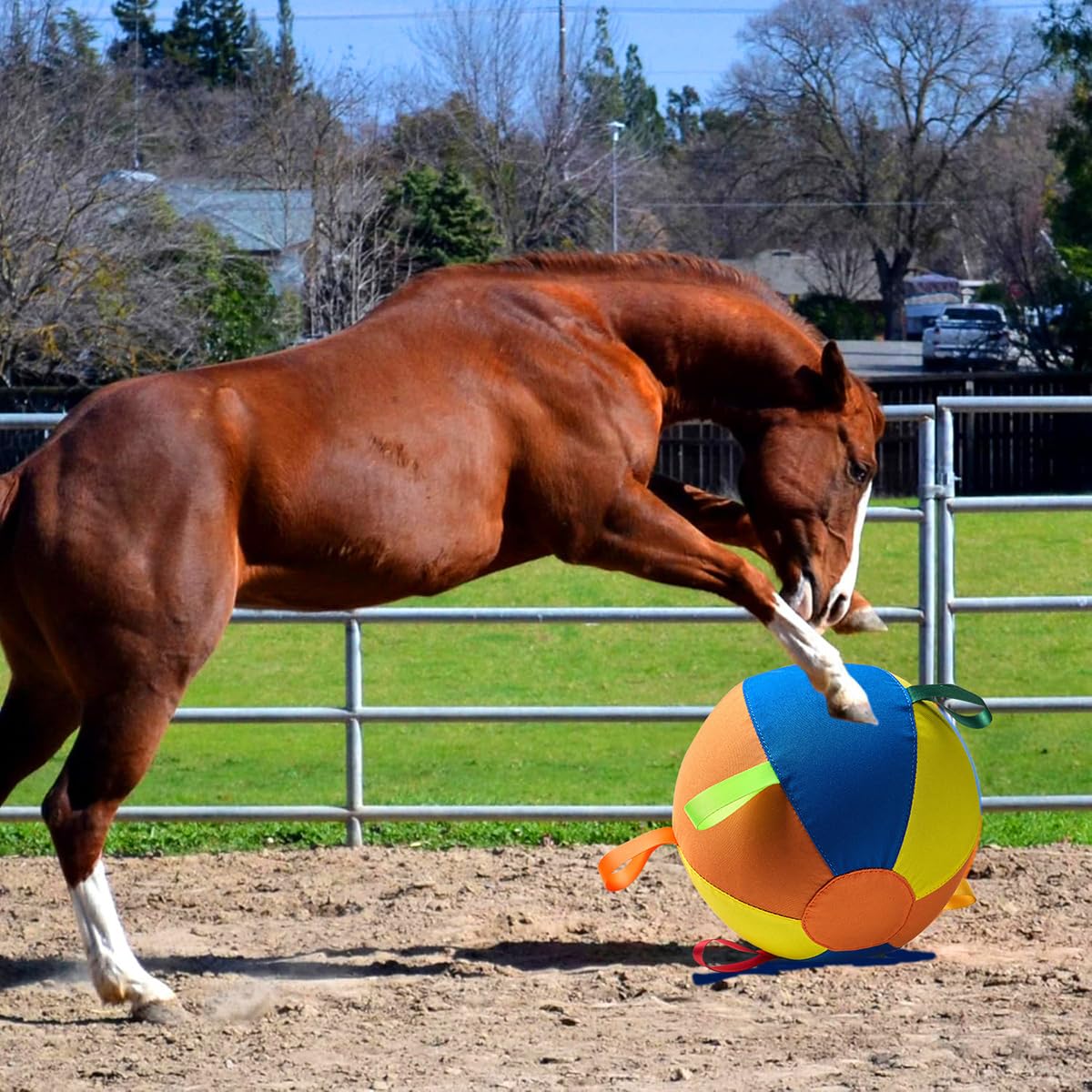 Riesiger Hüteball Für Hunde, Aufblasbarer Herding Ball Für Hunde Trainingsball, Interaktives Spielübungs, Hundespielzeug,Mit Robuster Griffabdeckung Und Pumpe Für Welpenspiel, Training (55cm)