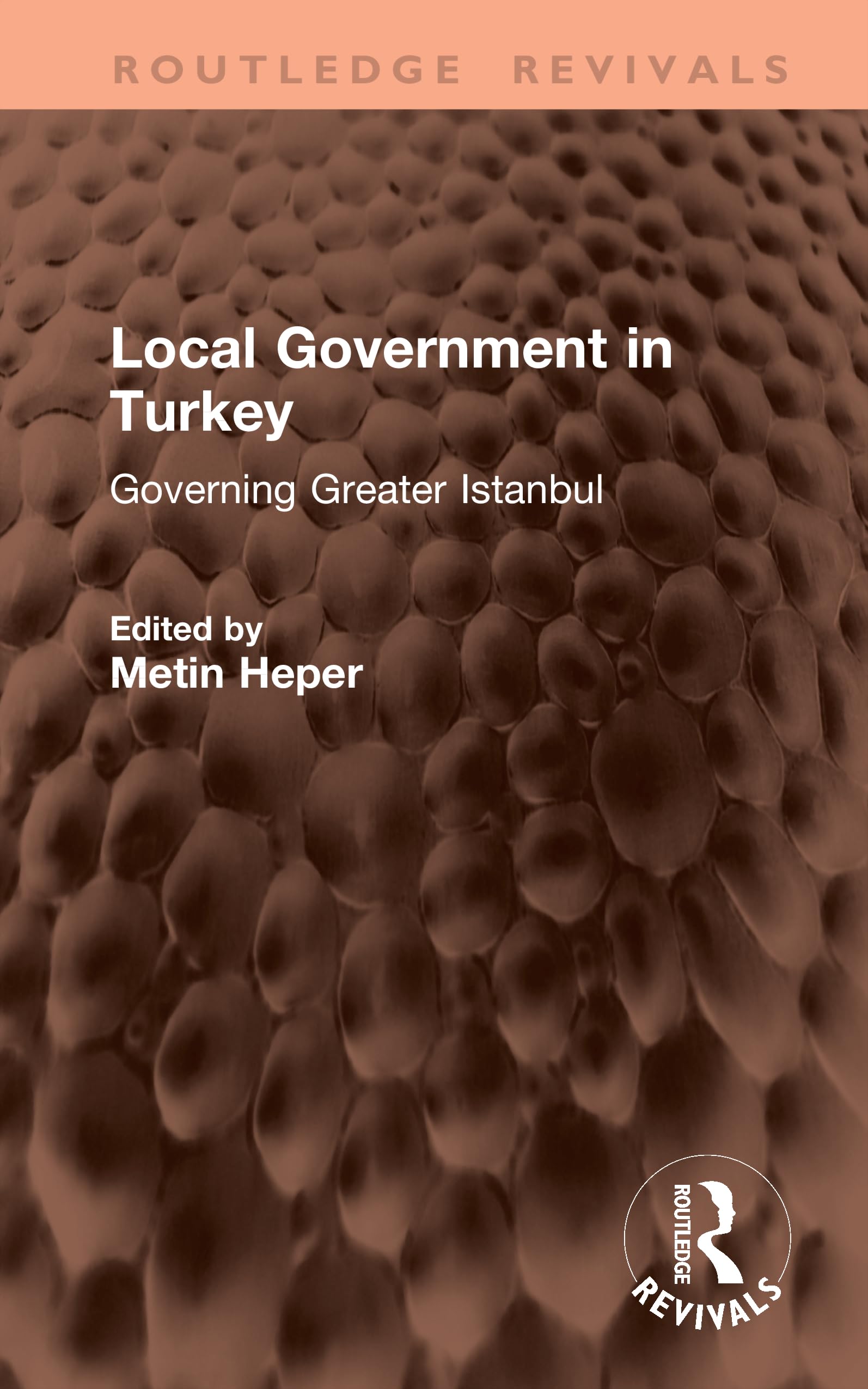 Local Government in Turkey: Governing Greater Istanbul (Routledge Revivals)