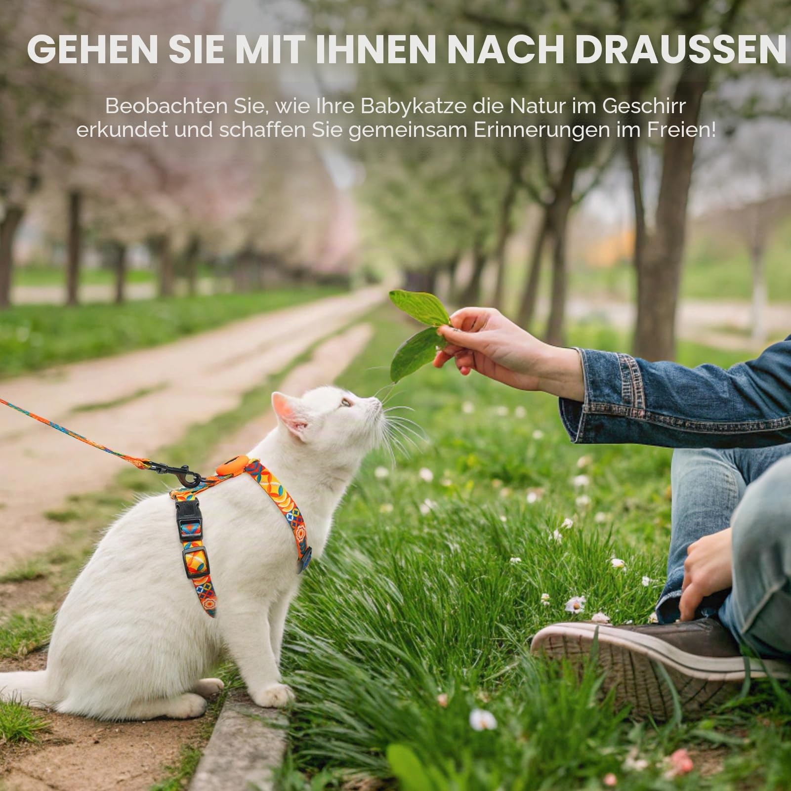 SCENEREAL Katzengeschirr und Leine, ausbruchsicher, mit Airtag-Halter, verstellbares Geschirr für Kätzchen, große Katzen, Weste, Geschirr für Spaziergänge, Outdoor, drinnen, Frühling, Sommer, Urlaub,