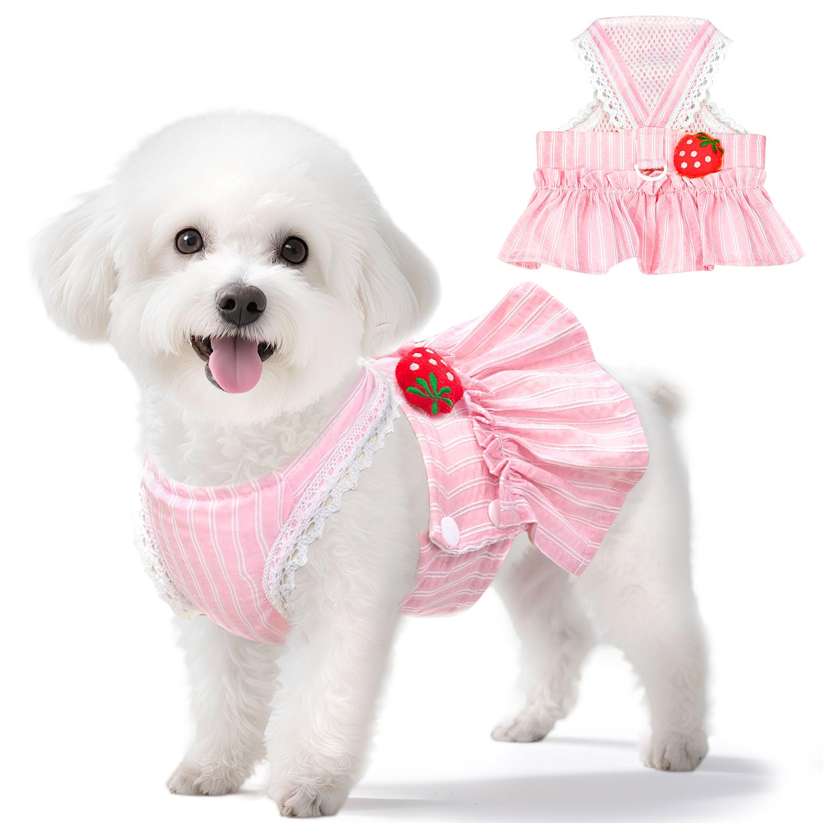 XGDMEIL Cute Strawberry Small Dog Dress with D-Ring Princess Lace Girl Female Dog Clothes Spring Summer Breathable Mesh Pet Puppy Cats Harness Dress