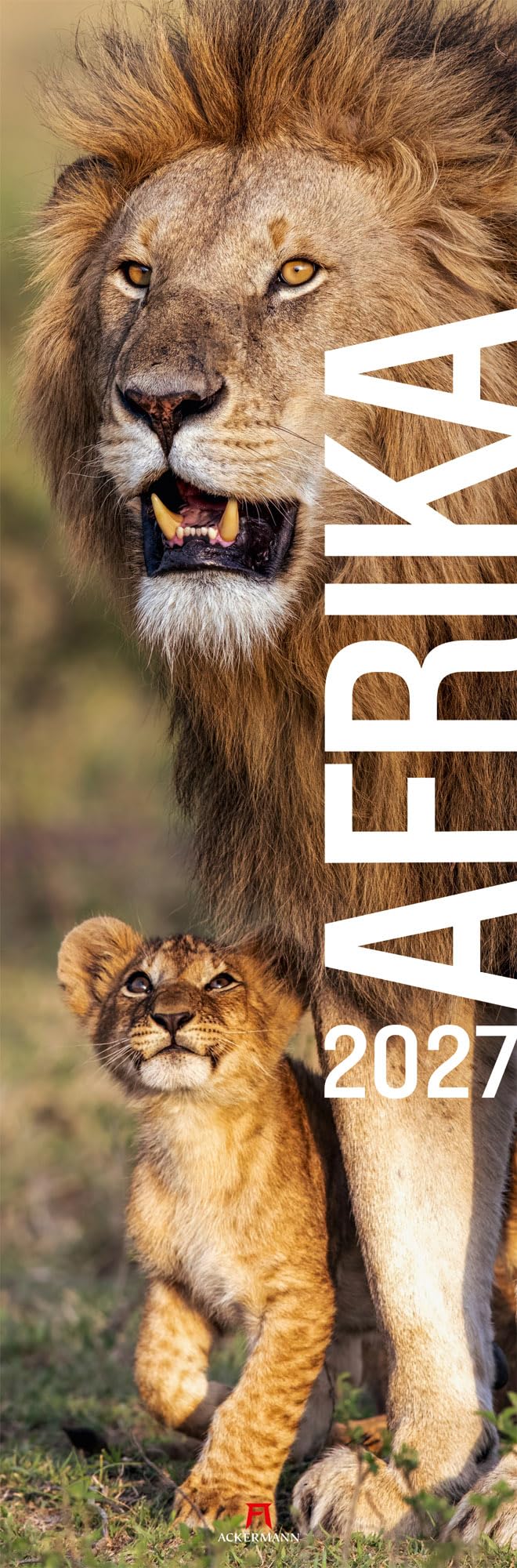 Calendrier Afrique 2027 panoramique vertical format étroit 33x100 cm animaux de la savane