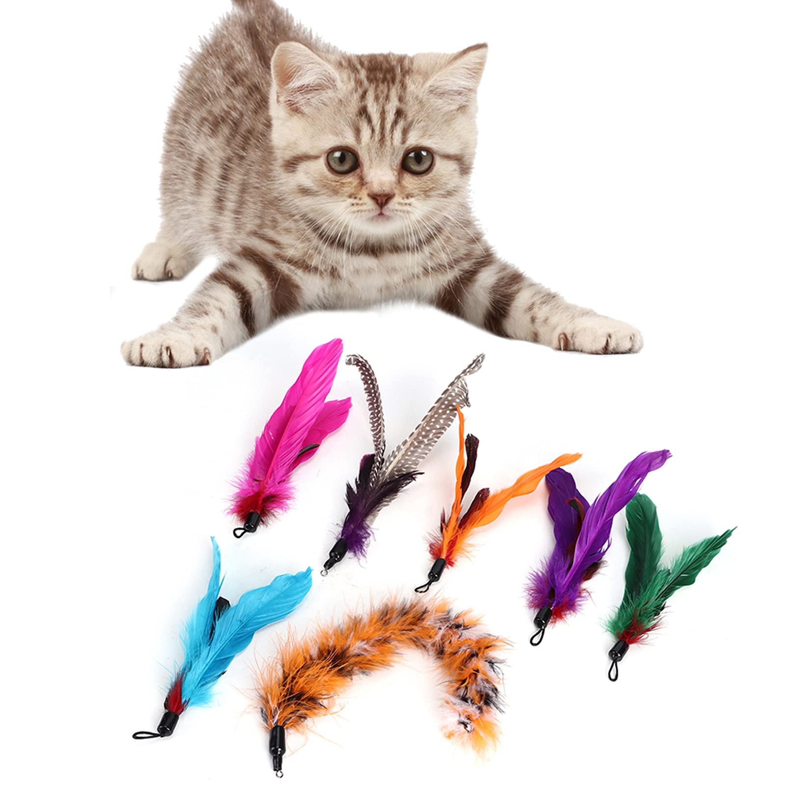 ZJchao Juguete de Plumas para Gatos, Juguetes de Plumas para Gatos de Interior, 7 Piezas, Juguete Colgante para, Juguetes para, Varilla, Pluma, Cabeza de Repuesto, Suministros para para Todas