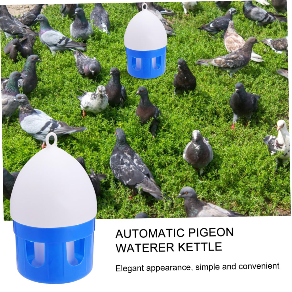 Automatische Vogeltränke für Tauben und Vögel 4, 5 L Kunststoff Blau | Sauberes Wasser, Einfache Reinigung, Geeignet für Zoo und Zuhause, Praktische Tränke für Tauben