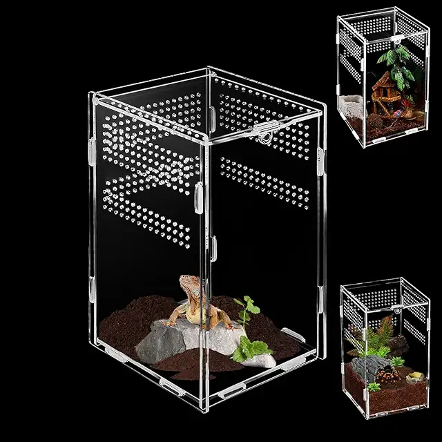 Springspin Terrarium: 20x12x10cm Acrylic Mini Habitat for Spiders, Lizards & Snails