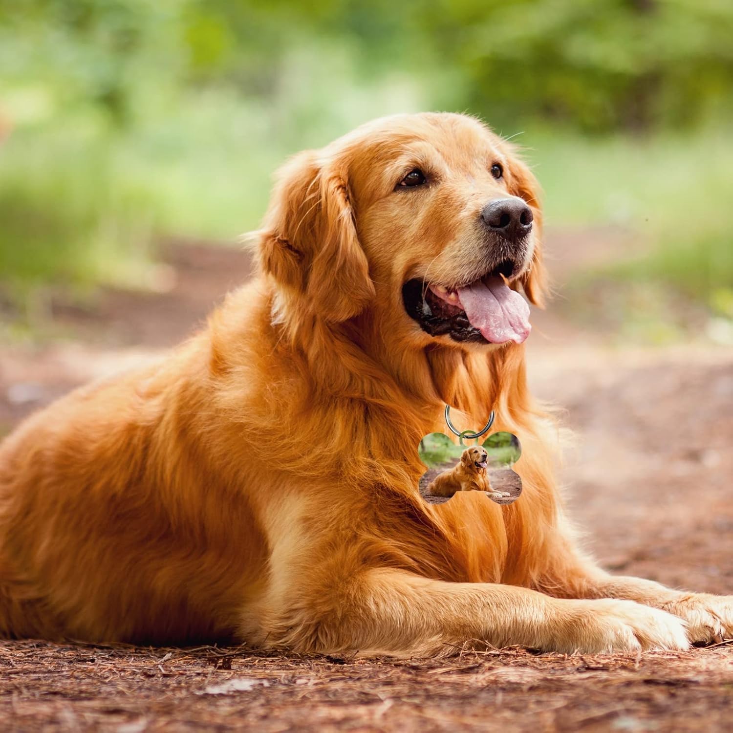 40 targhette per cani vuote a sublimazione a forma di osso con stampa a trasferimento termico fai da te medagliette identificative per cani a forma di osso per cani e gatti per forniture per animali