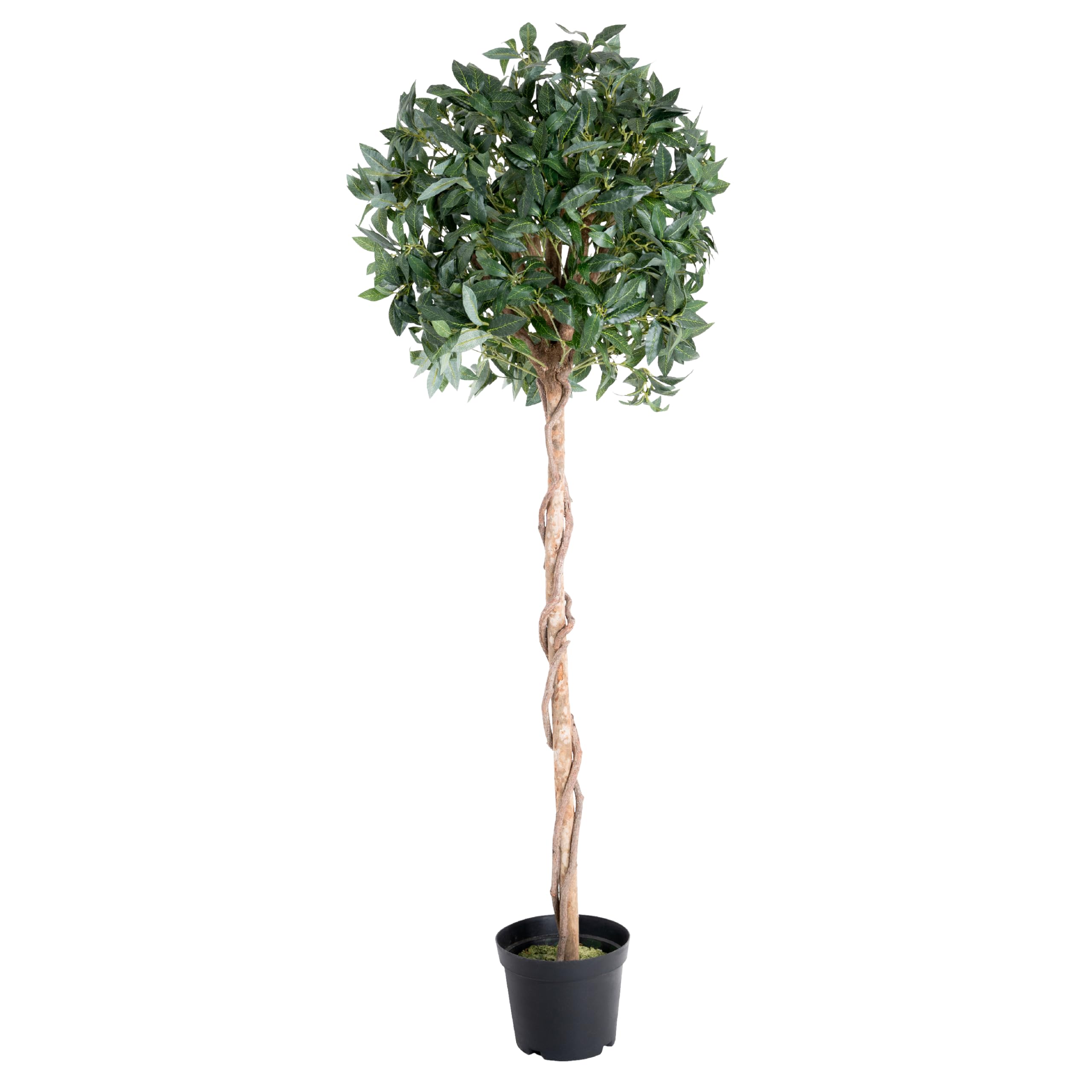 Blooming Artificial - Artificial Bay Tree in Pot for Garden, Home, and Office, Year Round Decorative Foliage, UV and Water Resistant (Green) (180cm) — image 1