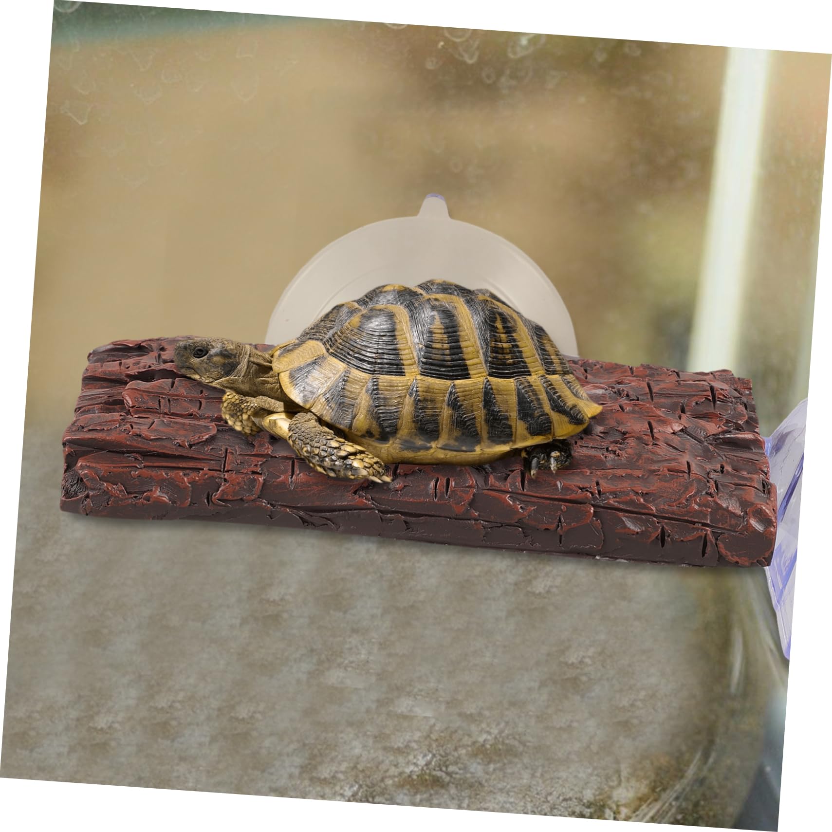 VANZACK 5pezzi Piattaforma Galleggiante per Tartarughe con Ventose Isola per Soleggiamento e Riposo Decorazione per Acquario e Terrario Adatta per Tartarughe di Piccole