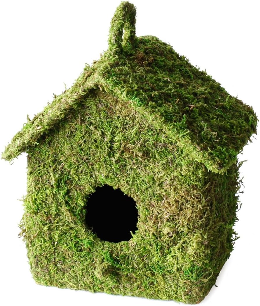 Marshall Home and Garden Moss Fuzzy Green 8 x 6 Wood Bird House with Hanging Hook On Top
