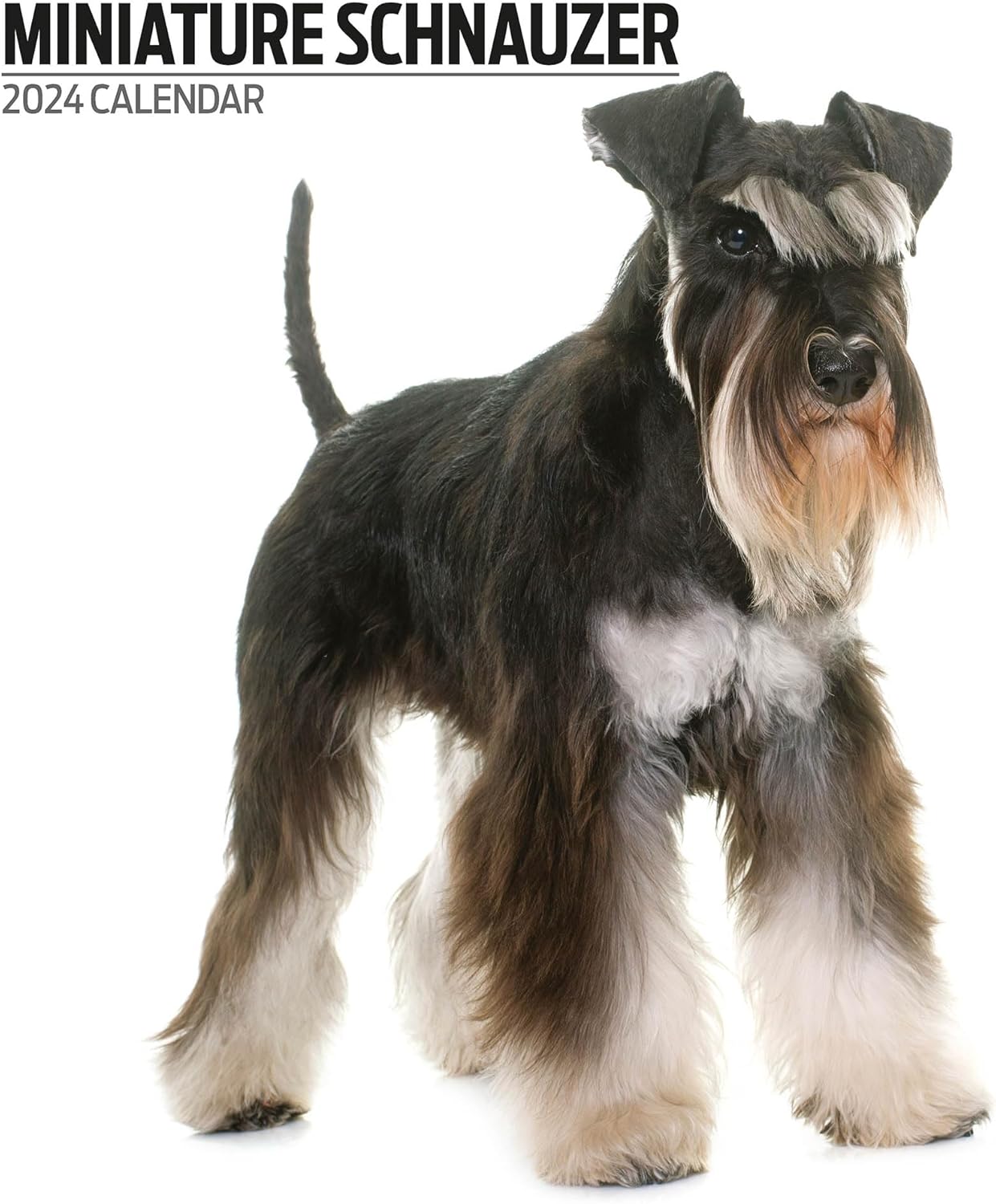 Miniatuur Schnauzer Kalender 2026 met ruimte voor notities Miniatuur Schnauzer Kalender 2026 met ruimte voor notities