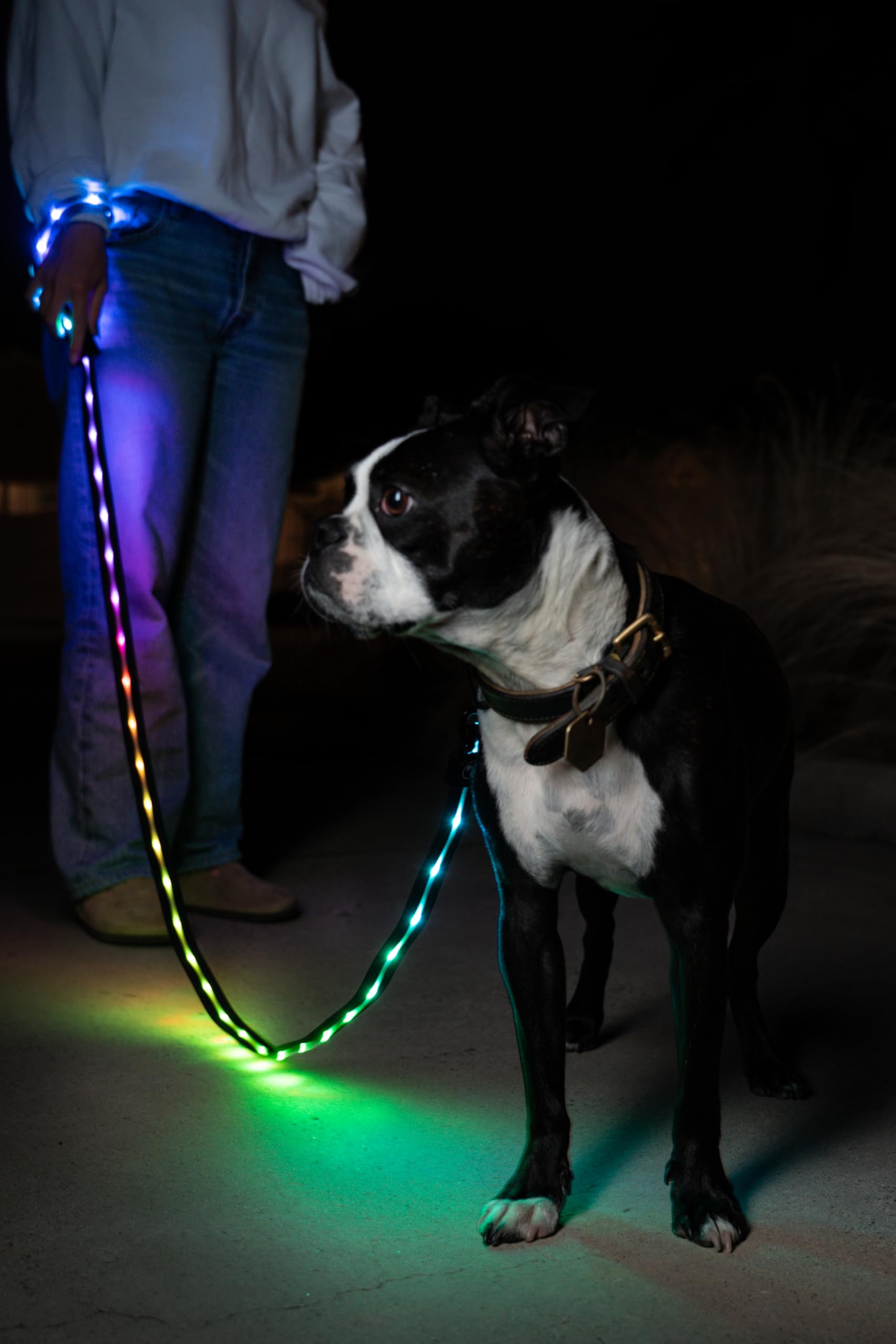 Luminoid LED-Hundeleine, wiederaufladbar über USB, RGB-Farbwechsel, beleuchtete Hundeleine, Hundeleinen machen das Haustier sichtbar und sicher für nächtliche Spaziergänge, 12 animierte Effekte,