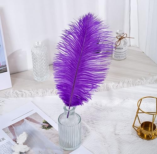 Miniatura 4 de Zamplinka 12 plumas de avestruz naturales de 12-14 pulgadas (11.8-13.8 in) para centros de mesa de boda, arreglos florales y decoración del hogar.