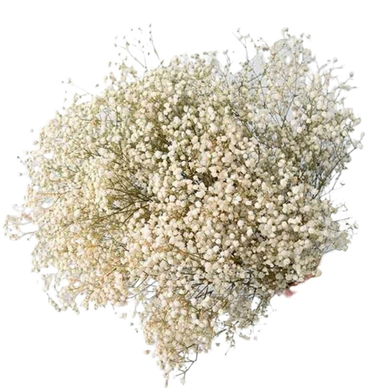 LuoAXINN Artificial Flower Branches Artificial Flowers Flower Bouquets For Wedding Decoration(WHITE,50g)