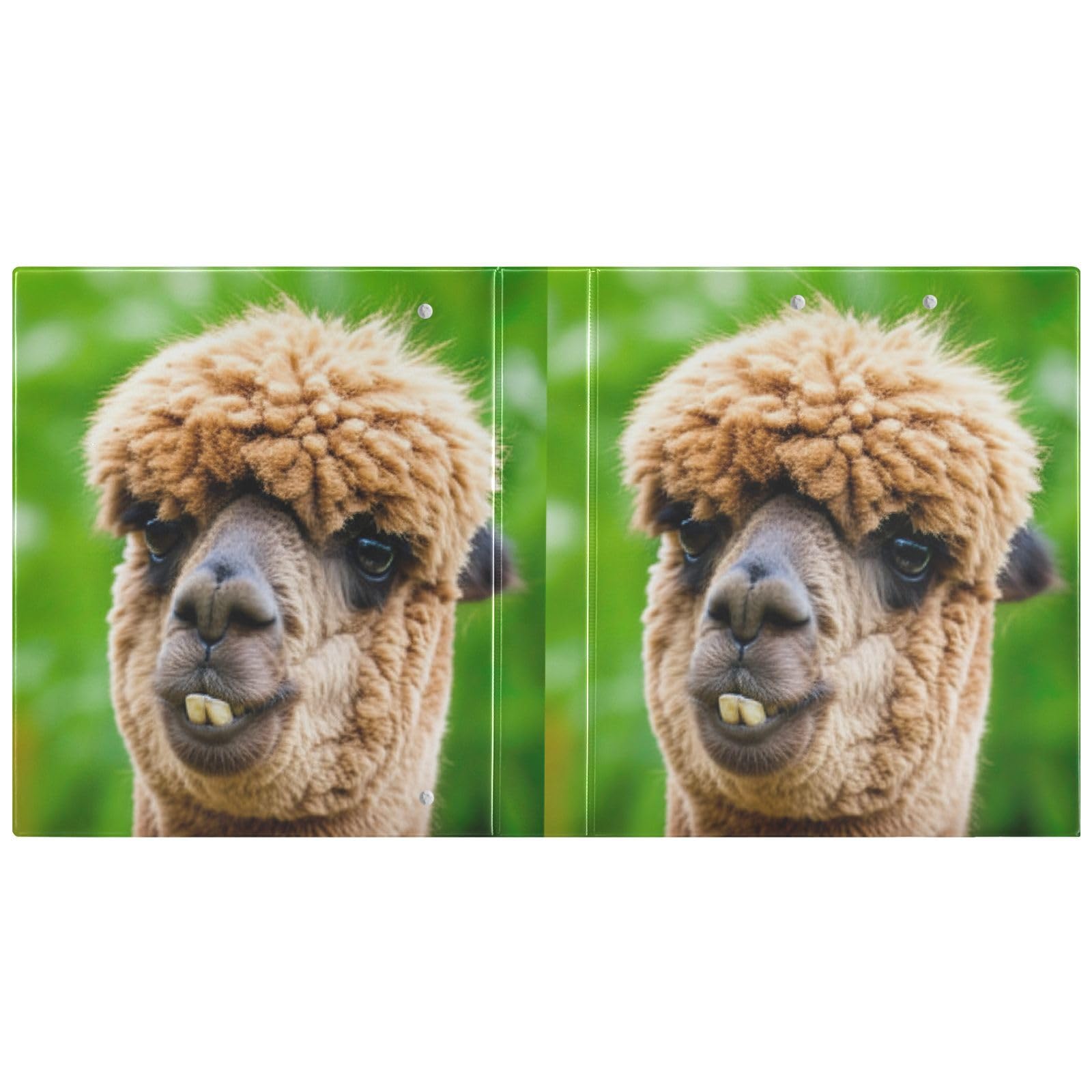 Funny Alpaca - Raccoglitore a 3 anelli da 3,8 cm, con portablocco a D e 3 raccoglitori per scuola, università, ufficio (confezione da 2)