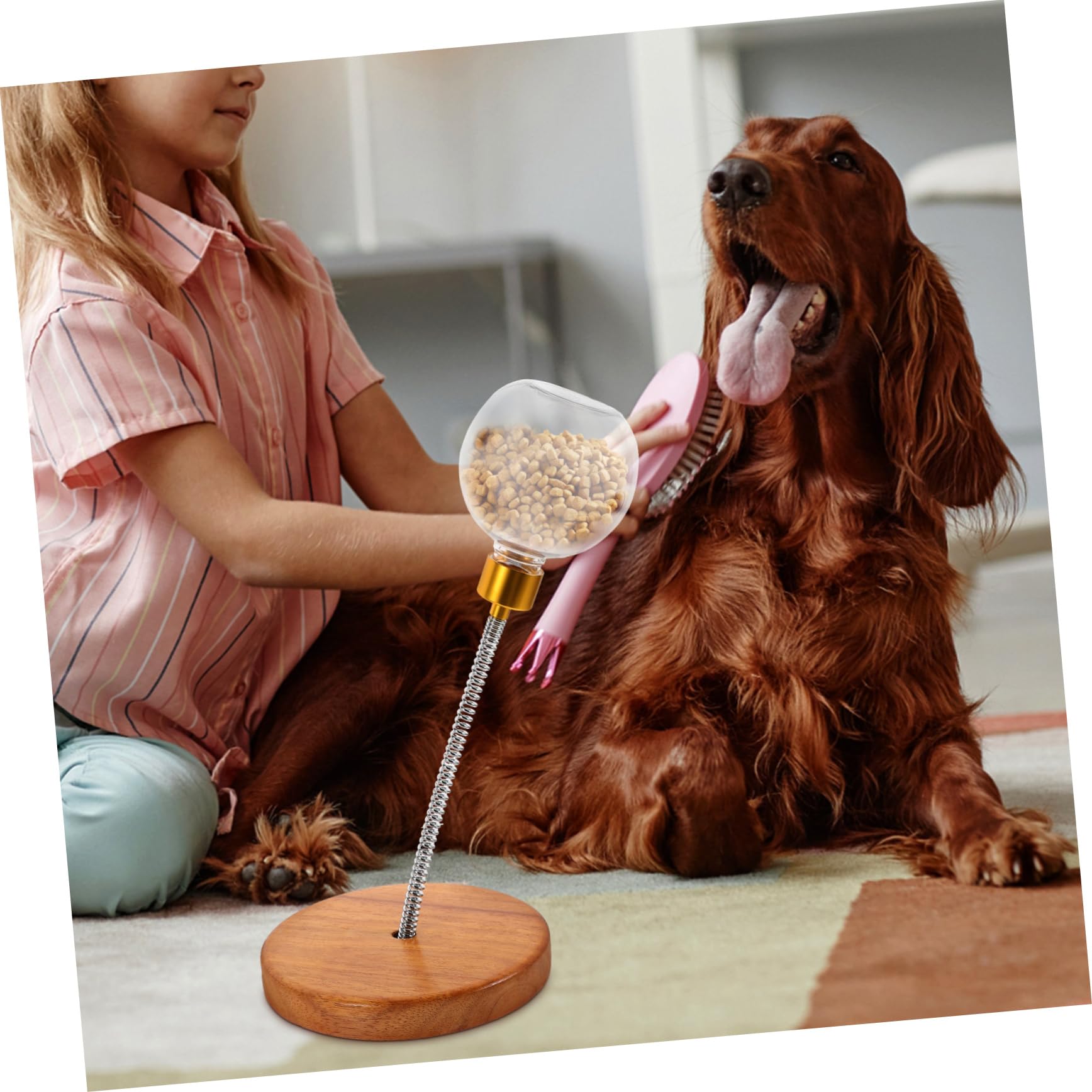 FRCOLOR Snackball Interaktives Welpen Hundespielzeug aus Kunststoff und Edelstahl für Hunde zur Futterausgabe und Beschäftigung für Kleine und Mittlere Hunde