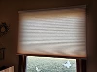 Review Image by Gayle Gayle