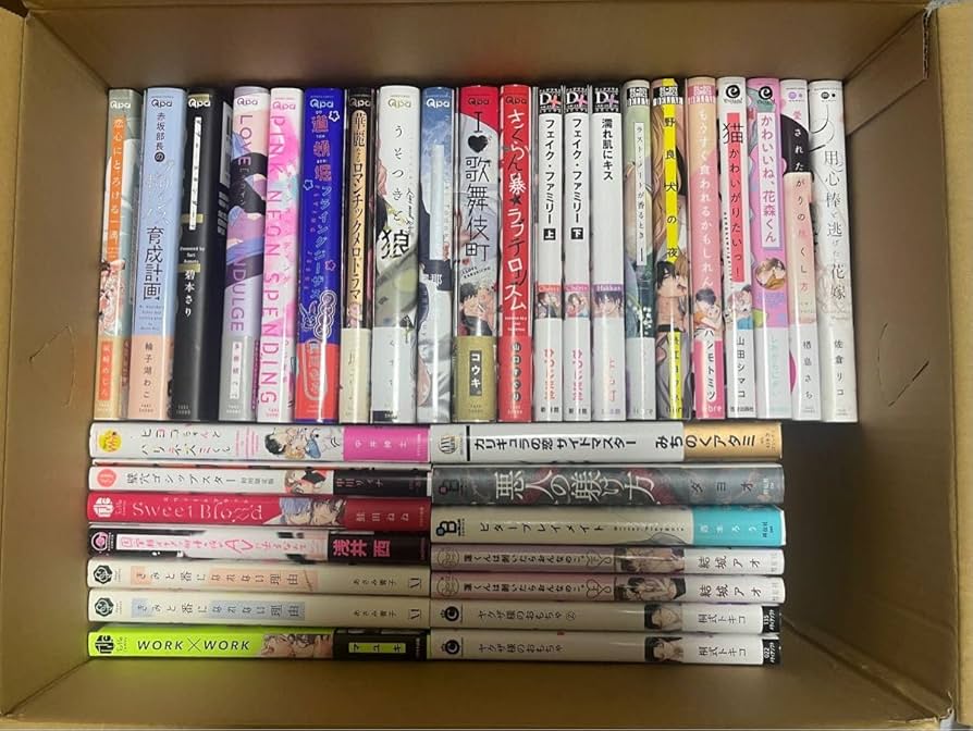 BL まんが まとめ売り 28冊セット BL漫画まとめ売り28冊 - メルカリ