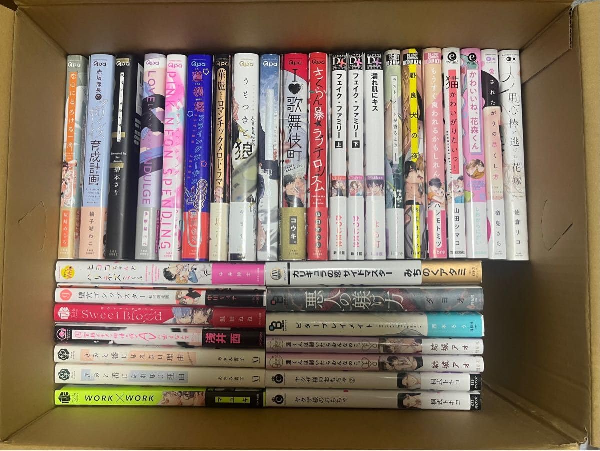 商業BL まとめ売り 25冊セット アニメイトなど　特典ファイル付き 商業BL まとめ売り 25冊セット アニメイトなど 特典ファイル付き