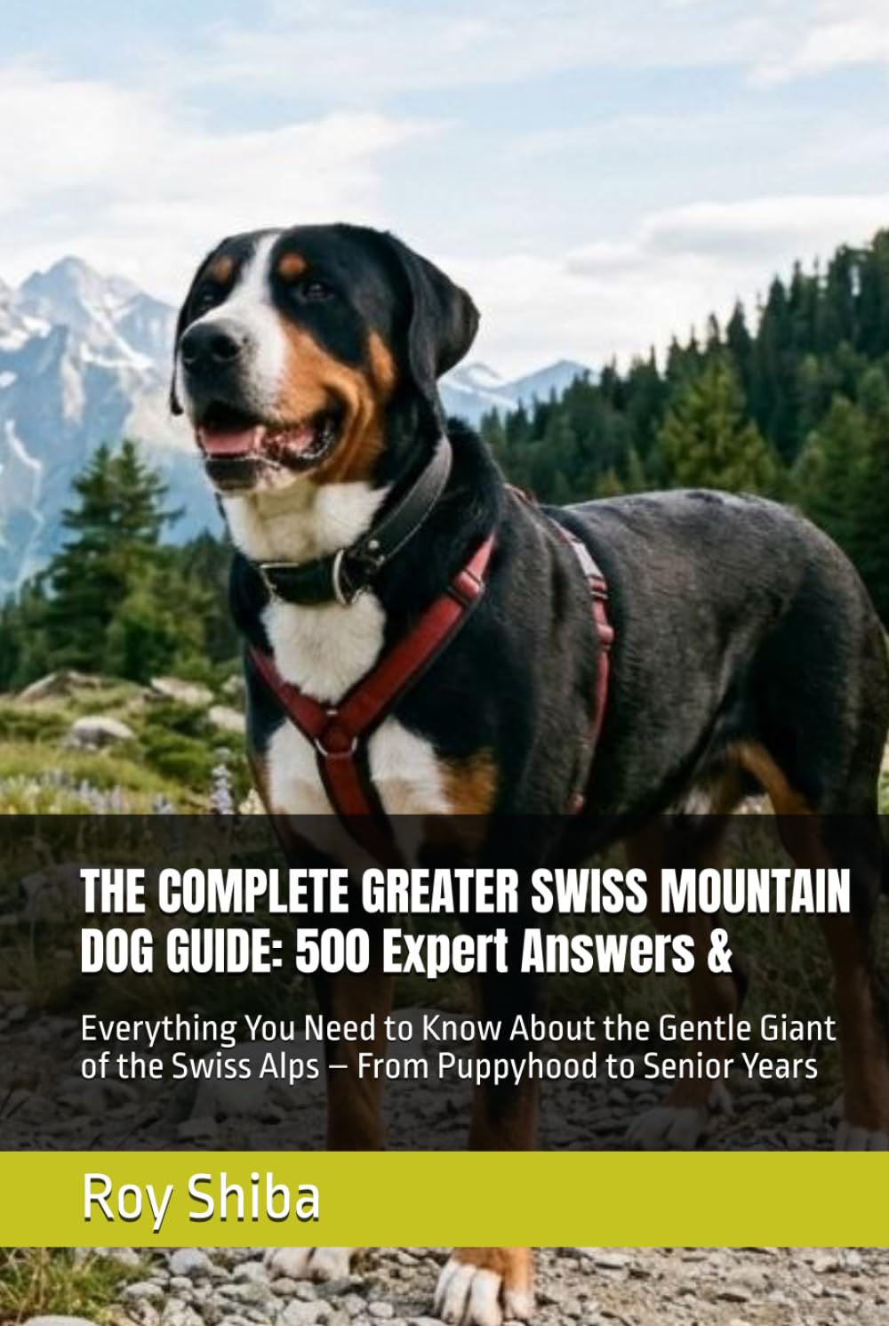 THE COMPLETE GREATER SWISS MOUNTAIN DOG GUIDE: 500 Expert Answers &: Everything You Need to Know About the Gentle Giant of the Swiss Alps – From ... Senior Years (The Complete Dog Guide Series)