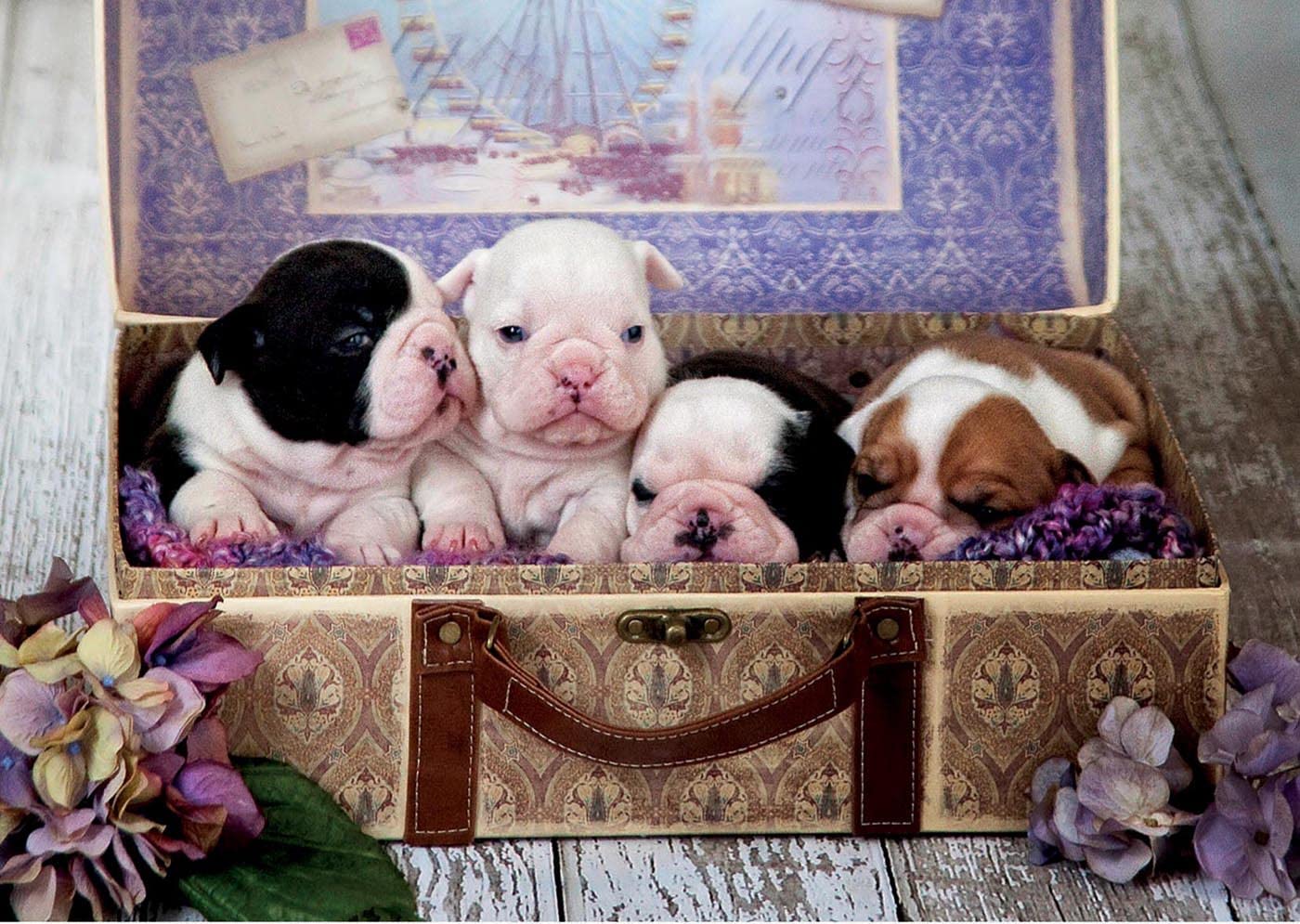 Educa Puzzle 500 Pezzi Per Adulti - Collage Di Cani, Inclusa Colla Speciale. Dimensioni 34x48 Cm. Da 11 Anni. - 4