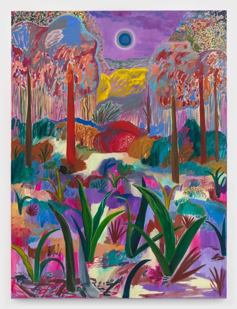 アート・デザイン・音楽 Shara Hughes Shara Hughes: Time Lapsed: Hughes, Shara, Fetzer, Fanni