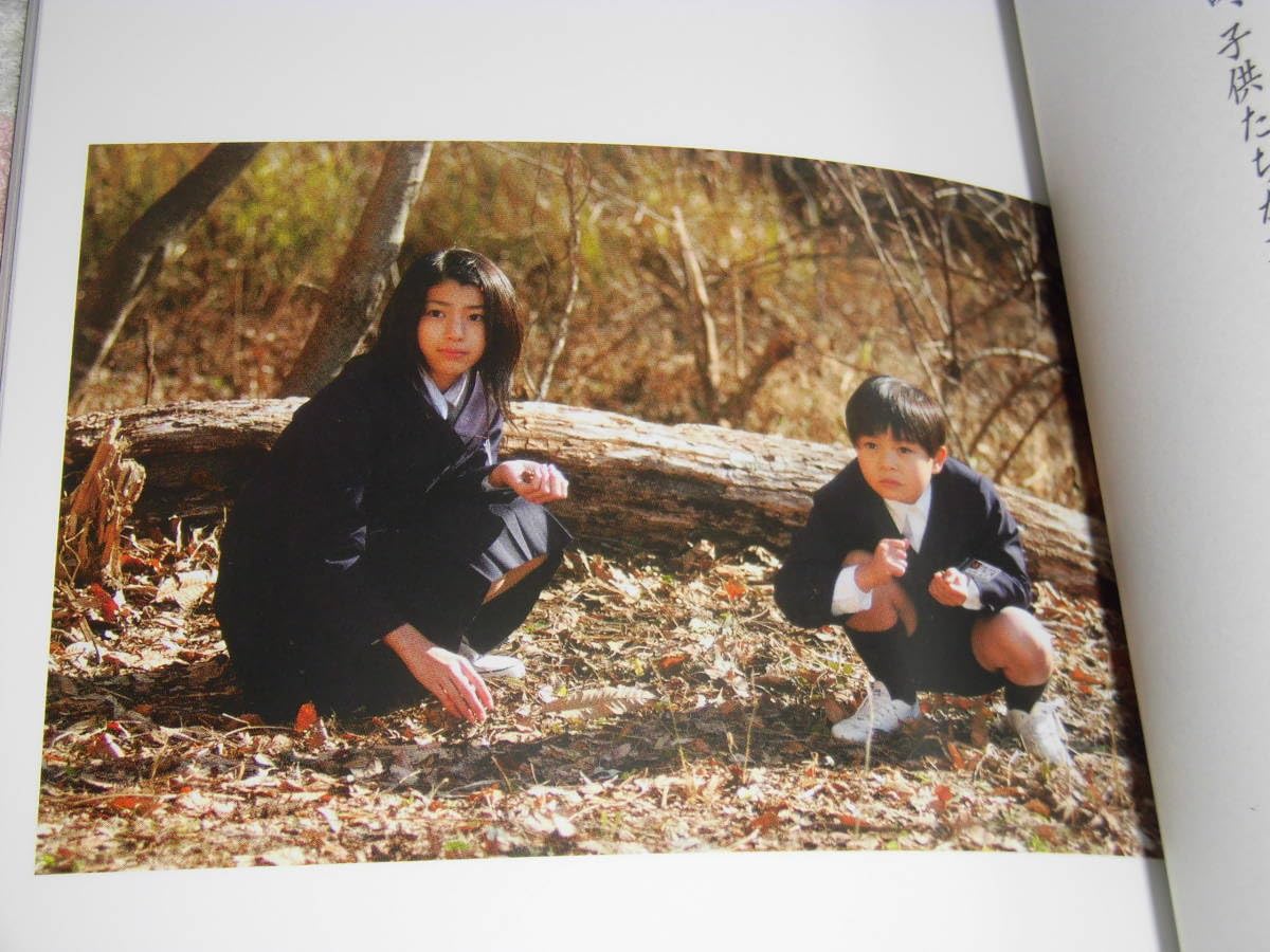 雨の町 DVD 和田聰宏 真木よう子 成海璃子 雨の町 DVD 和田聰宏 真木