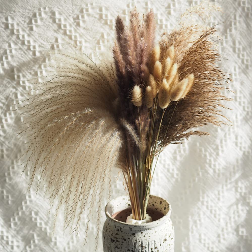 30 Stück Kleines Reed Natürliches Getrocknetes Kleines Pampasgras Phragmites Künstliche Pflanzen Hochzeit Blumenstrauß für Wohnkultur,A1,30pcs