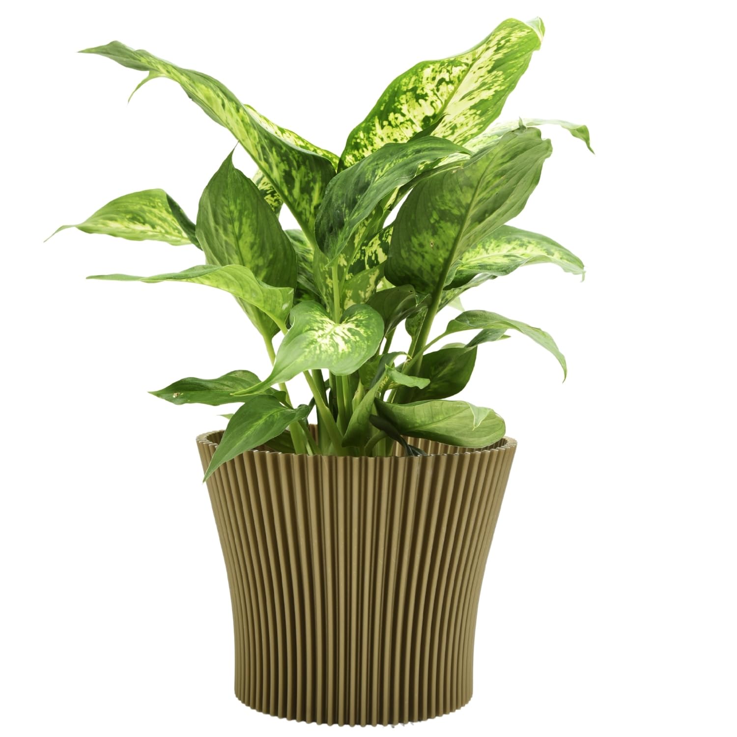 B2C Matt Ribbed Flower Pot – Modern Flared Conical Planter with Pleated Design, Lightweight, Indoor/Outdoor Decorative Plant Pot – Multiple Sizes & Colors (Gold, 11cm)