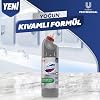 Domestic Professional Bleach Dense Consistent Formula 1250 ml