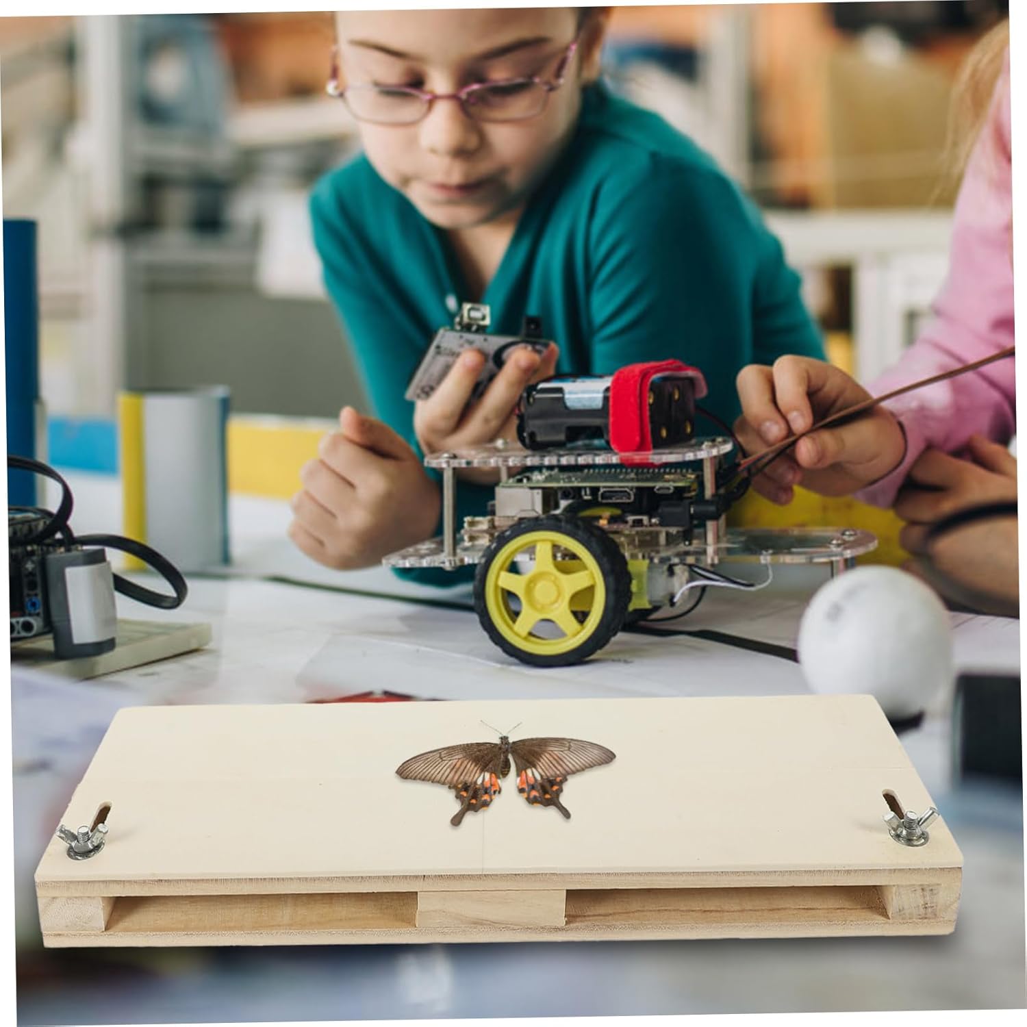 Cabilock Butterfly Frame Mounting Tool Wings Spreading Board Educational Display for Lightweight and Portable