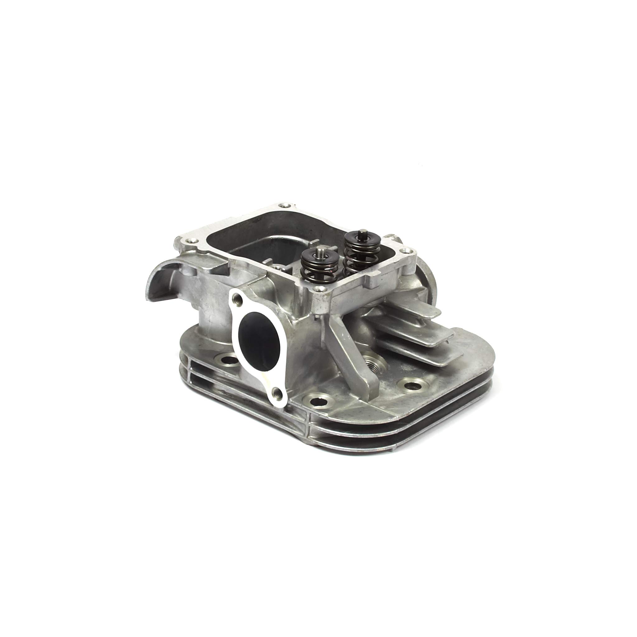 Amazon.com: Briggs & Stratton 84006467 Cylinder Head : Patio, Lawn 