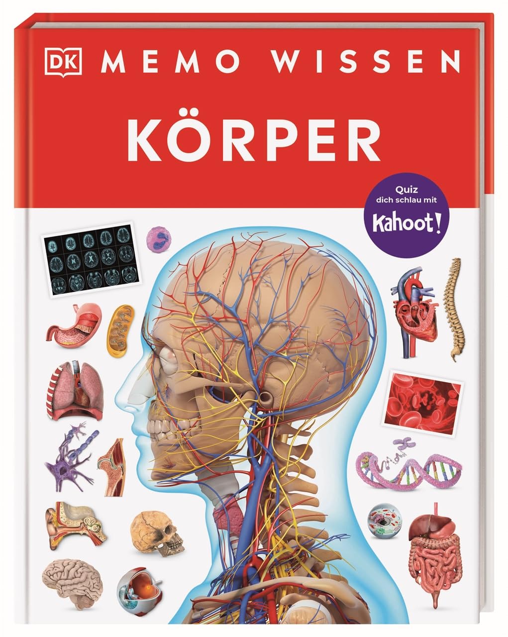 memo Wissen. Körper: Knochen, Muskeln, Blutgefäße: Kompetentes Sachwissen und kahoot-Quizfragen. Für Kinder ab 8 Jahren