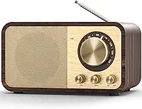 Tendak Rádio FM retrô com melhor recepção, transistor portátil Bluetooth com alto-falante de 5 W, rádio vintage recarregável para cozinha doméstica, ao ar livre, suporta reprodução de cartão TF