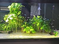 Review Image by Girl w/No Name Girl w/No Name