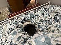 Review Image by lowen