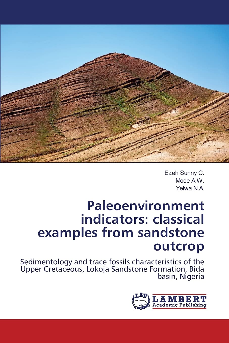 Buy Paleoenvironment indicators classical examples from sandstone