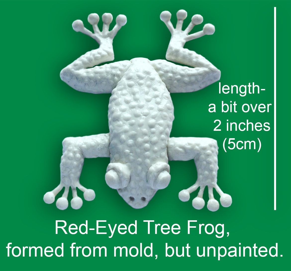 Scott Clark Woolley Red Eyed Tree Frog Mold