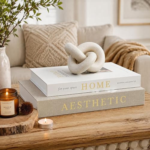 Aesthetic Decorative Books, Set of 2 Boxes for Coffee Table