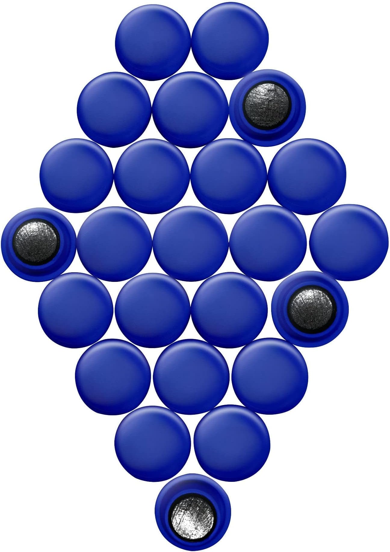 Small Planning & Notice Board Magnets - Assorted (1 Pack of 24) (Pack of 1)