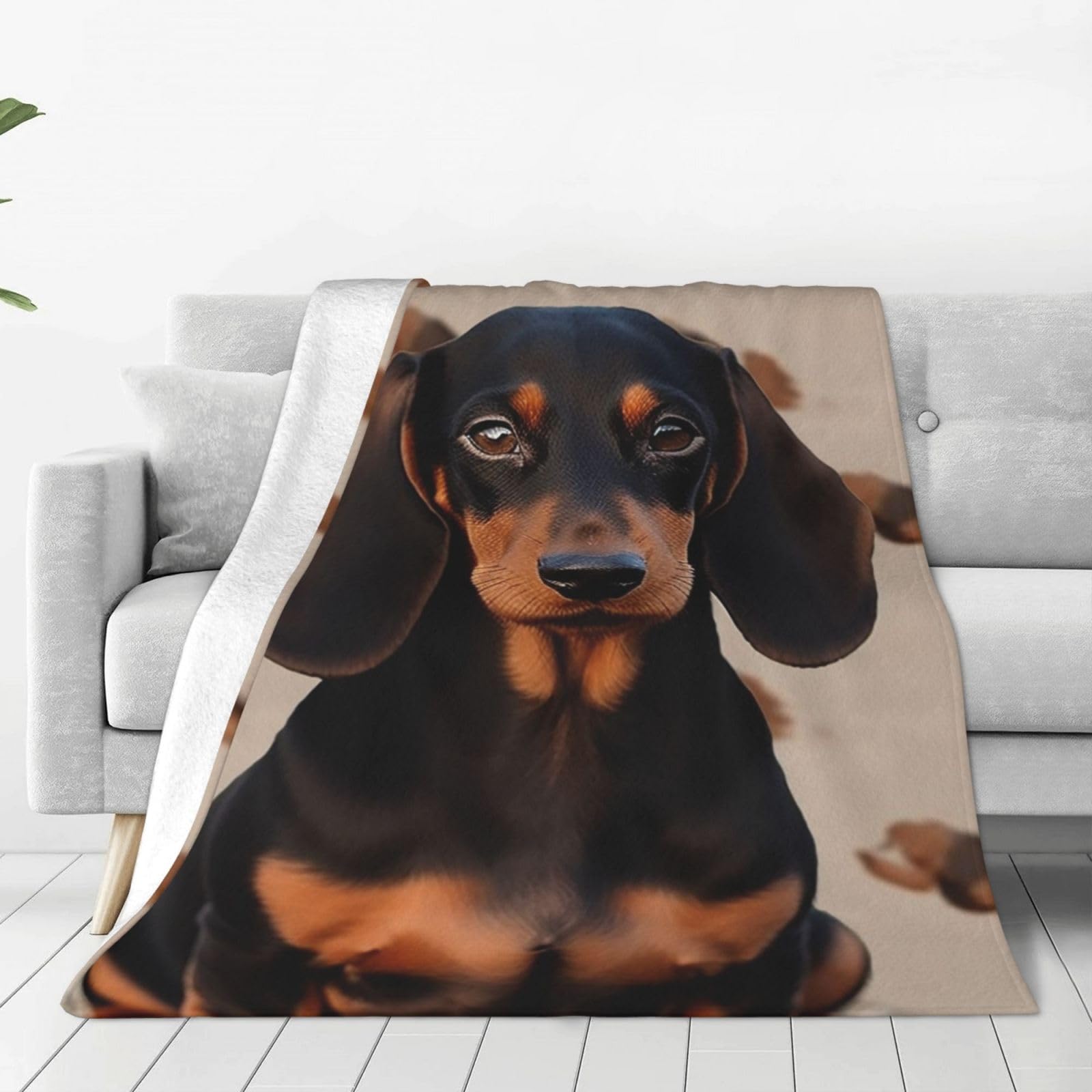 KLOPH Dachshund Dog Throw Blanket 60"x50" Flannel Fluffy Warm Blanket for Couch, Reversible Plush Blankets for Bed, Comfy Fuzzy Blanket for Sofa, Plush Lightweight-Blankets for All Season