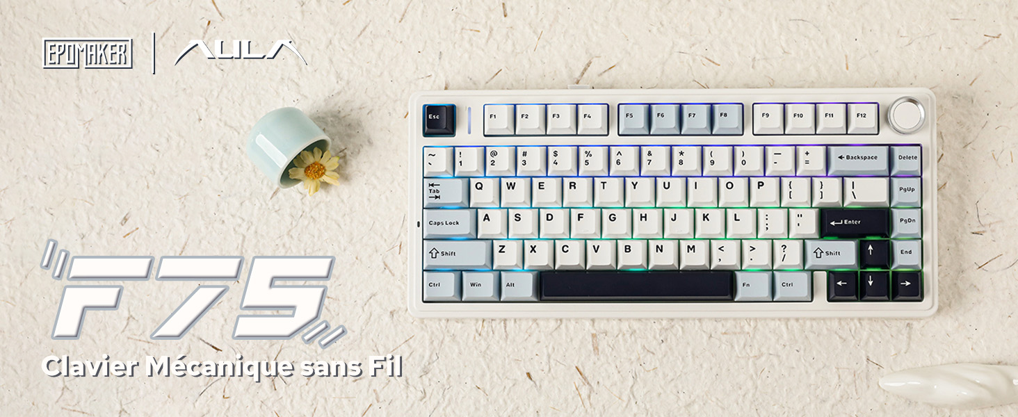 EPOMAKER x Aula F75 Clavier Mécanique Gasket à 75%, sans Fil/BT/USB-C, avec Cinq Couches de Coussinets, Bouton, RVB, Batterie, NKRO,QWERTY (Light Blue, Crescent Switch