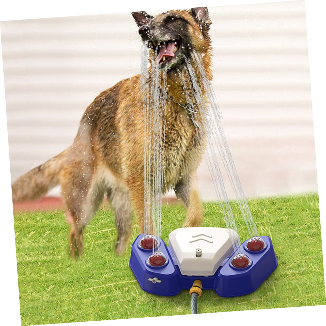 BELLIFFY Large Pet Water Fountain Dog Puppy Fountain Filter Plastic Sprinkler Toy for Fun Bathing