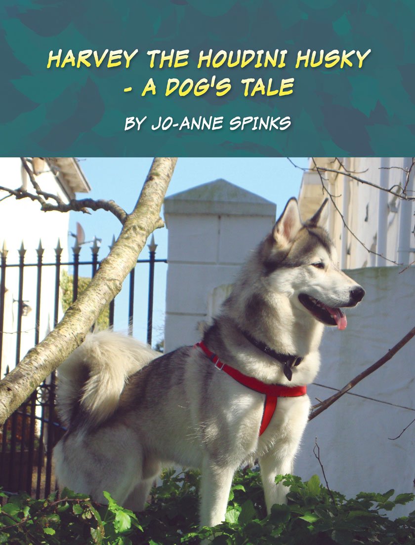 HARVEY THE HOUDINI HUSKY - A Dog’s Tale