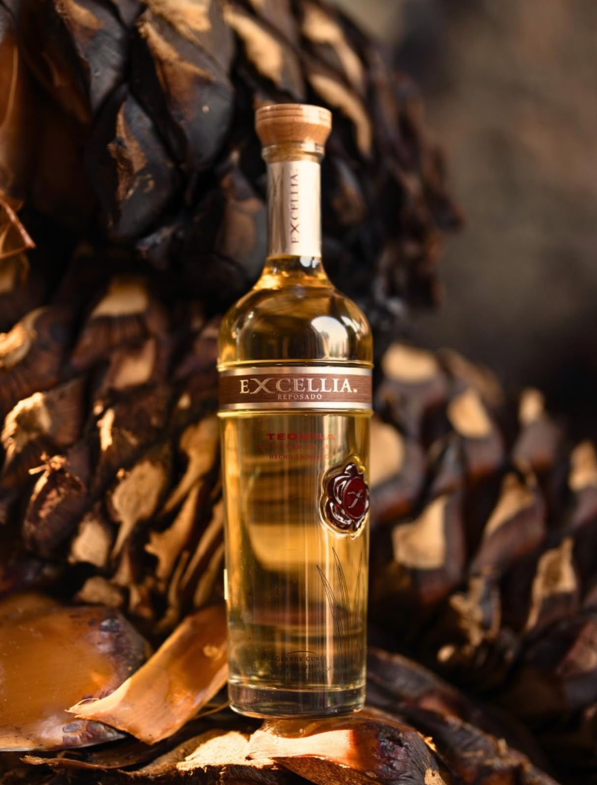 Excellia Reposado Tequila Agave (1 x 0.7 l)