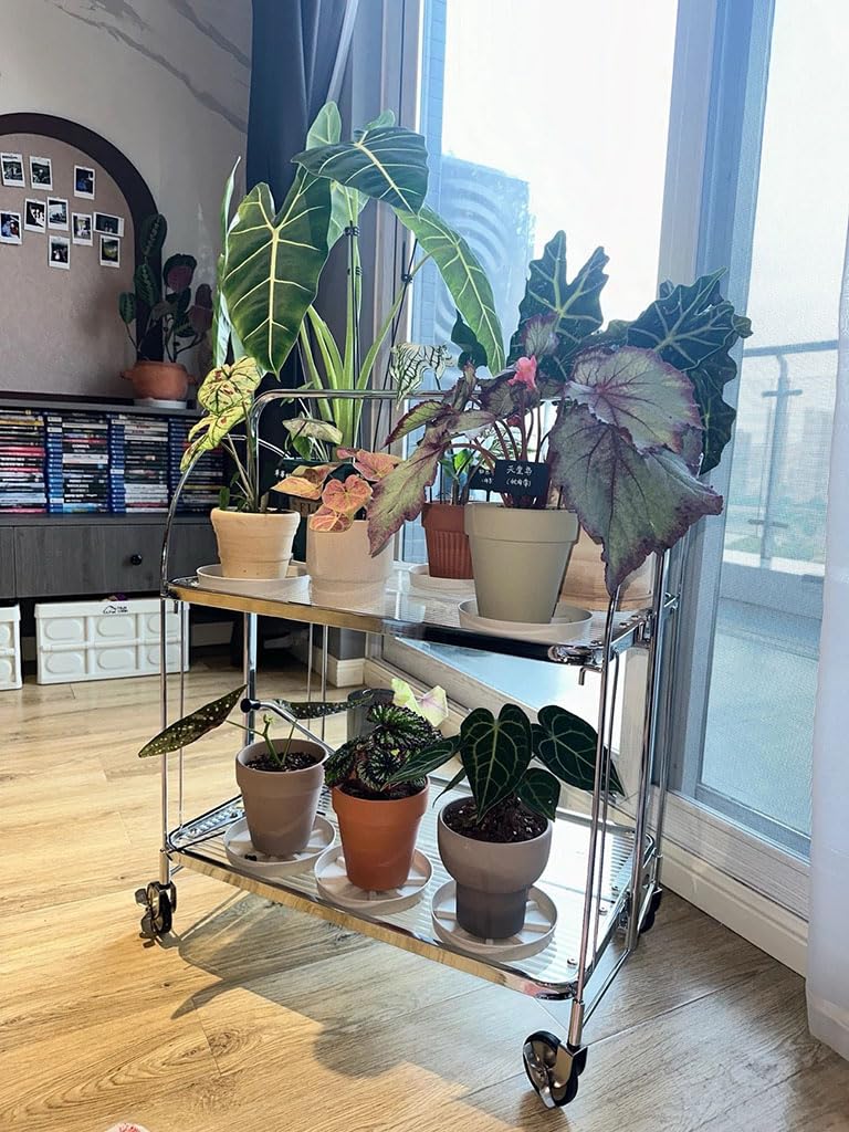 Carrello Bar Pieghevole su Ruote per servire caffè e Bevande, Carrello portaoggetti su Ruote per Cucina e Feste - Elegante Carrello Mobile per Bevande per intrattenere