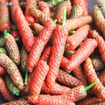 Amazon.co.jp: ITANSE 島胡椒(ヒハツモドキ) 9cm 2個セット